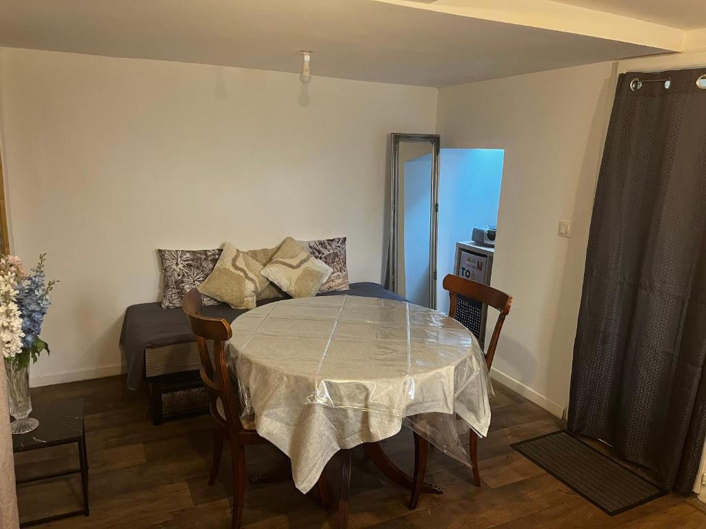 Logement aménagé au sous-sol avec coin jardin au centre d Arcachon - 5