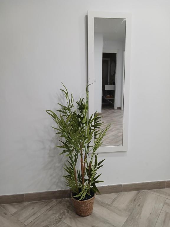 Apartamento el tejar - 4