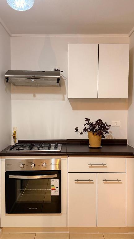 Amplio departamento con terraza y estacionamiento privado - 4