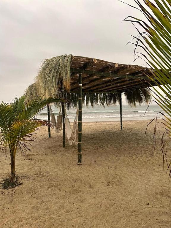 Cocolobos Beach Resort Peru - 2