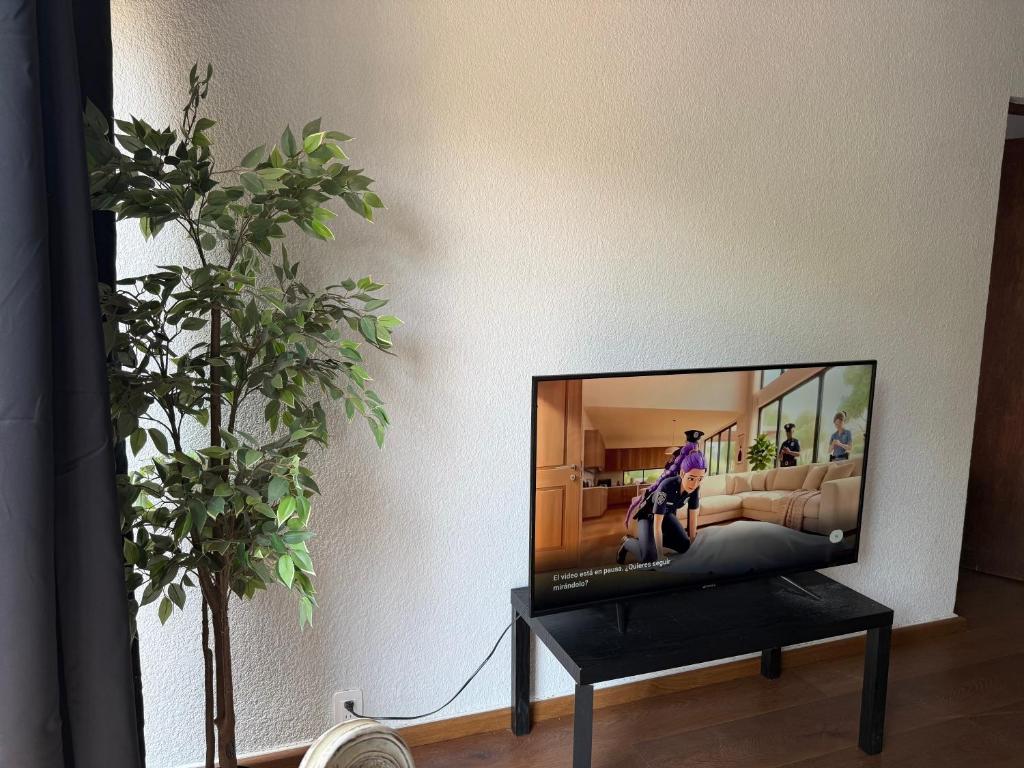 Beautiful apartment near Polanco - 3