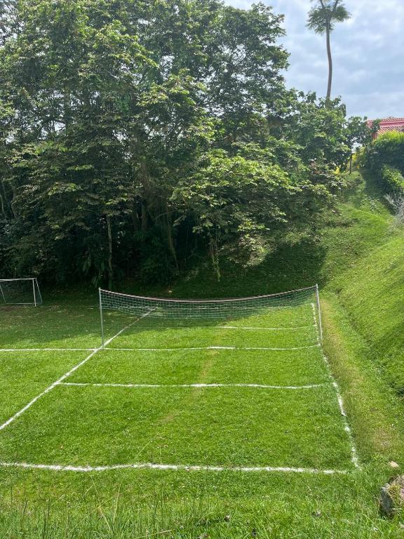 Spectacular property in Panaca, Coffee Region - 3