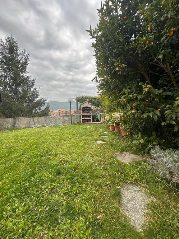 Le Cantine della Nelli - 2