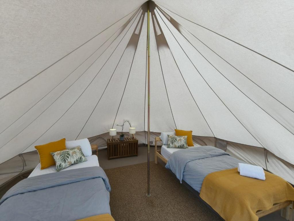 Adeje - TwinFin Hostel & Surf Yoga Camp - 2