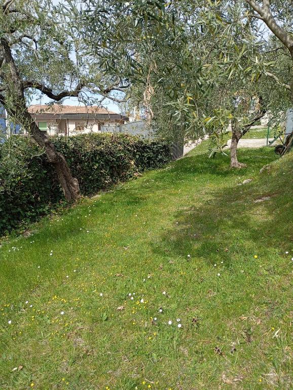 Punta sul Garda - 3