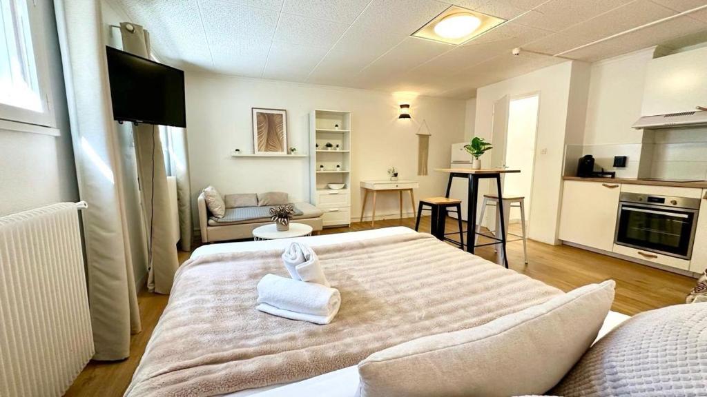 Seignemartin Chambre 1 - 1