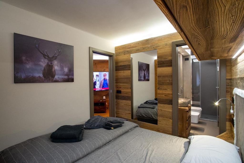 Design a Madonna di Campiglio 400m dalle funivie - 4