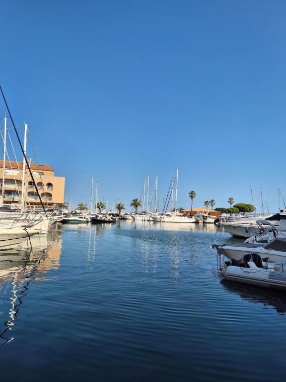 Studio - Port de Hyères - 4