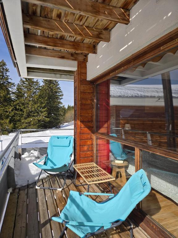 T3 au pied des pistes - 5
