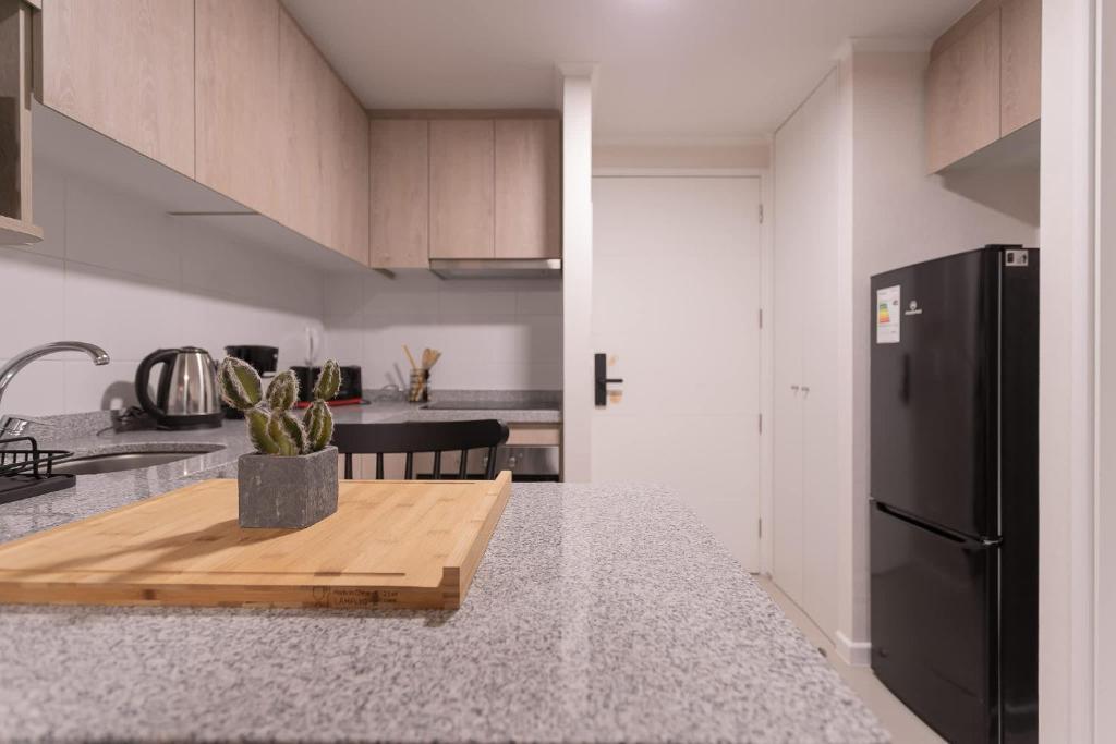 Your Urban Oasis 1BR in Downtown Santiago - 4