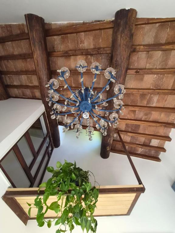 PapalePapale B&B - 4