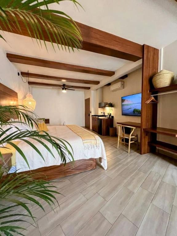 Luxury Studio 204 in Zona Romantica - 5