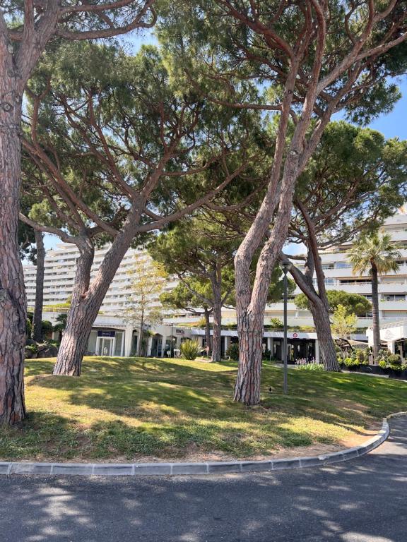 La Studette Marina 06 - 2