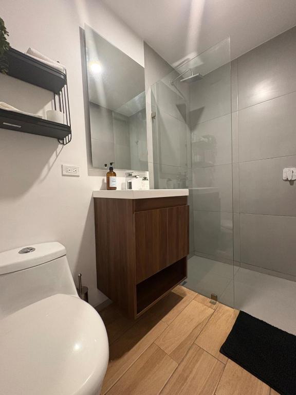 Cozy apartment in downtown Guadalajara - 2