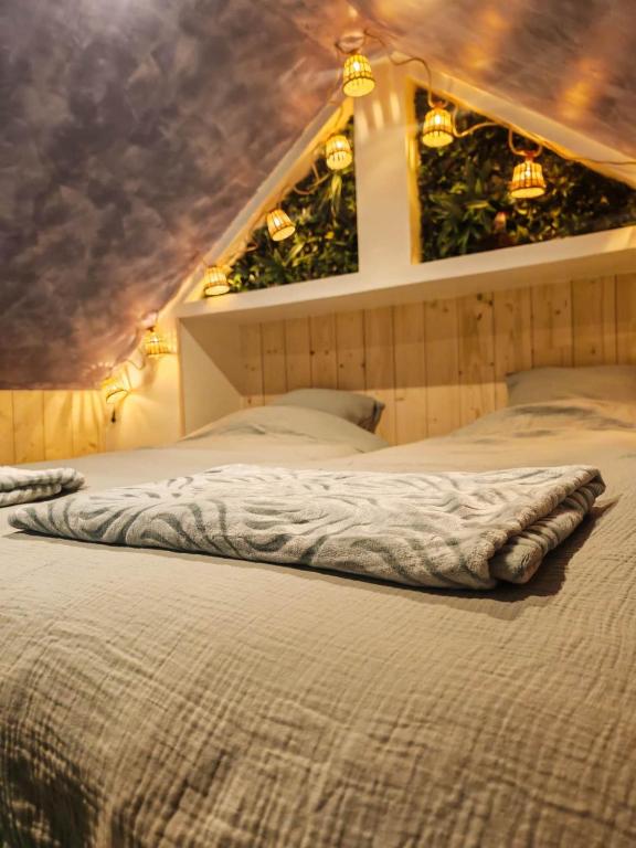 La Cabane Appartement Classé 3 étoiles jusqu'à 4 personnes - 4