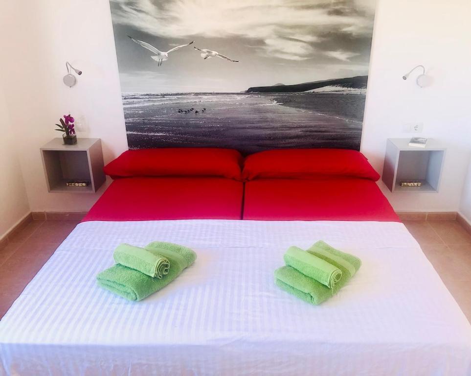 Comfortable apartment with terrace 5 minutes from the beach-dunes - 2