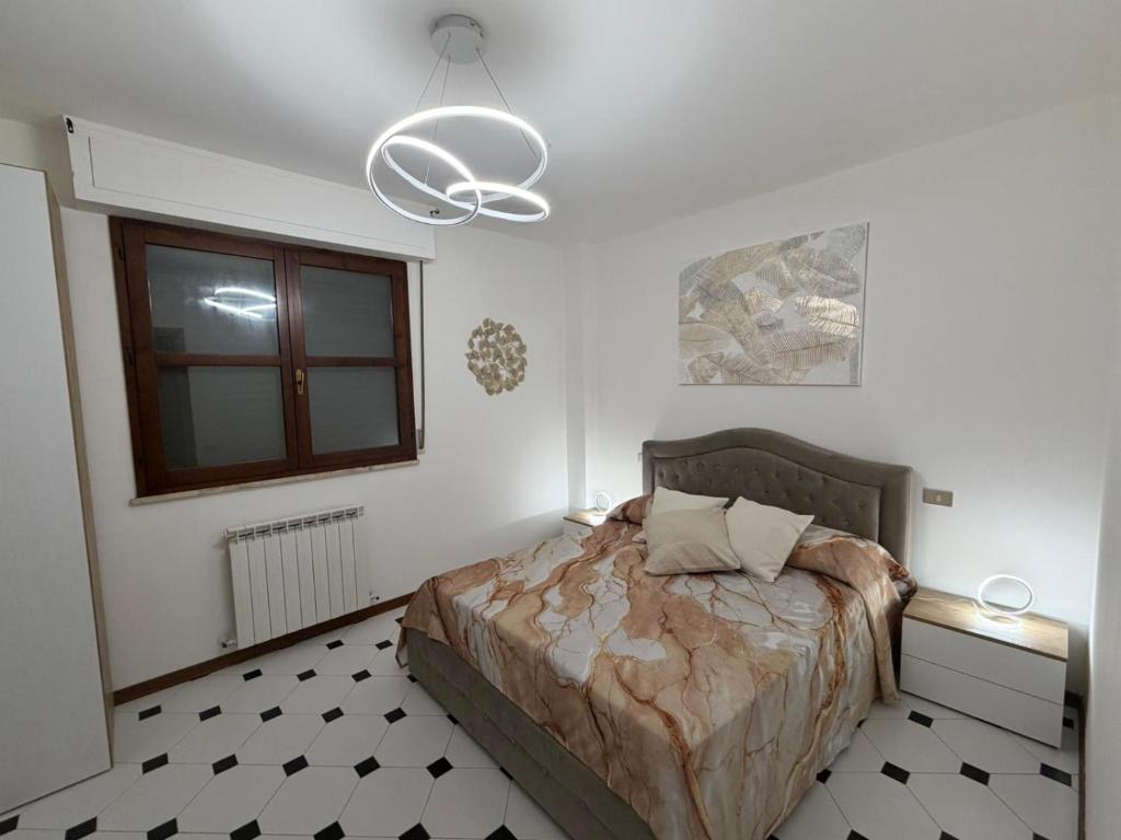 Pisa centro design - 5