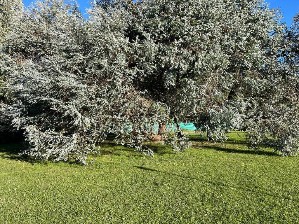Casa quinta con enorme parque, parrilla, hogar, piscina a 1 hora de CABA - 4
