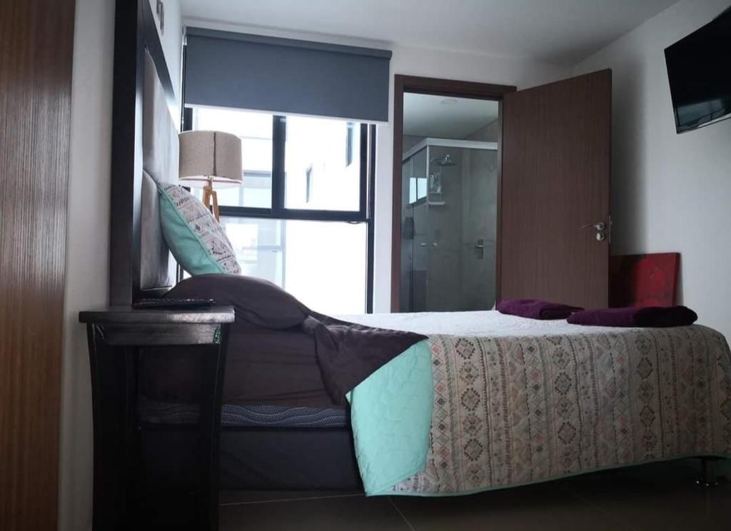 Portales Apt compartido CDMX - 3