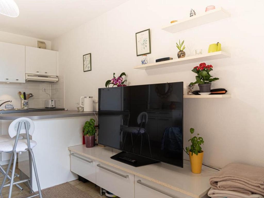 Appartement avec clim, parking - 4 pers. - FR-1-803-101 - 4