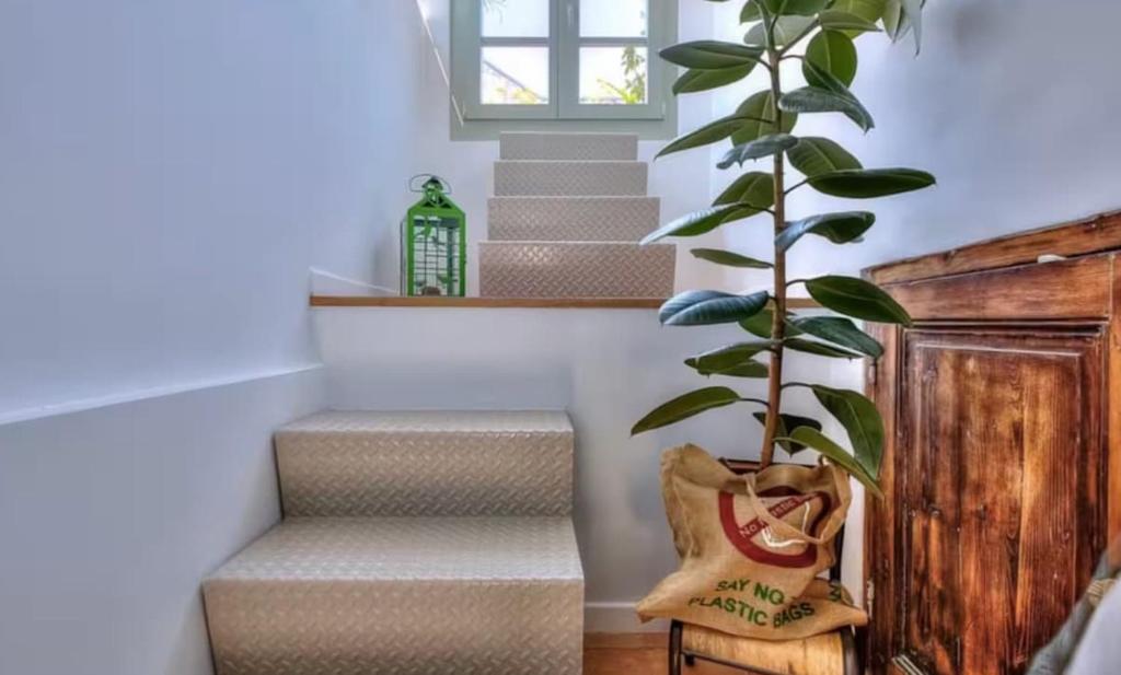 Vieux Nice, top floor, terrace with large sea views - 3
