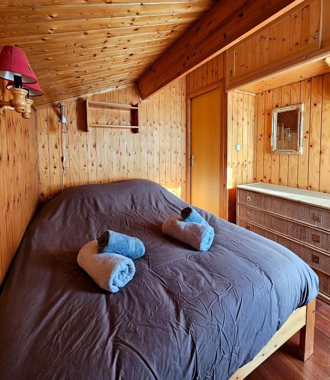 Chalet chaleureux - vue montagnes Grand Massif - 5
