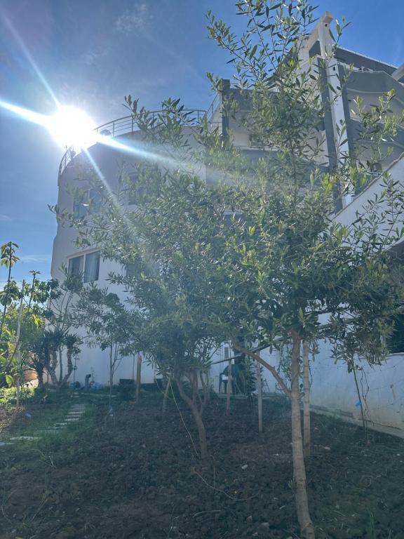 Garden studio apartmans - 3