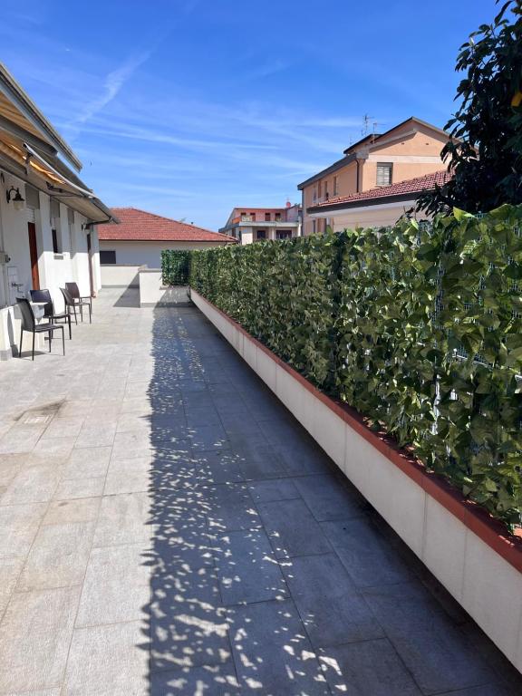 Istria house close to the Pisa tower - 2