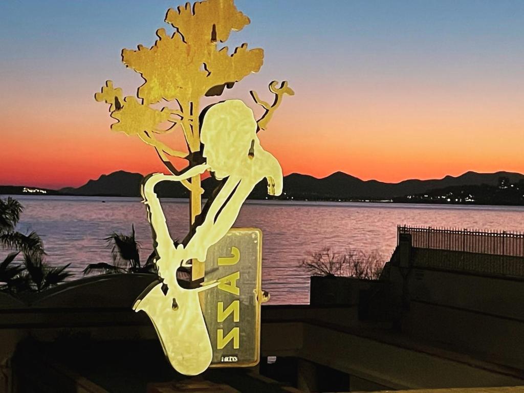 Calme et douceur à Juan les pins - 1