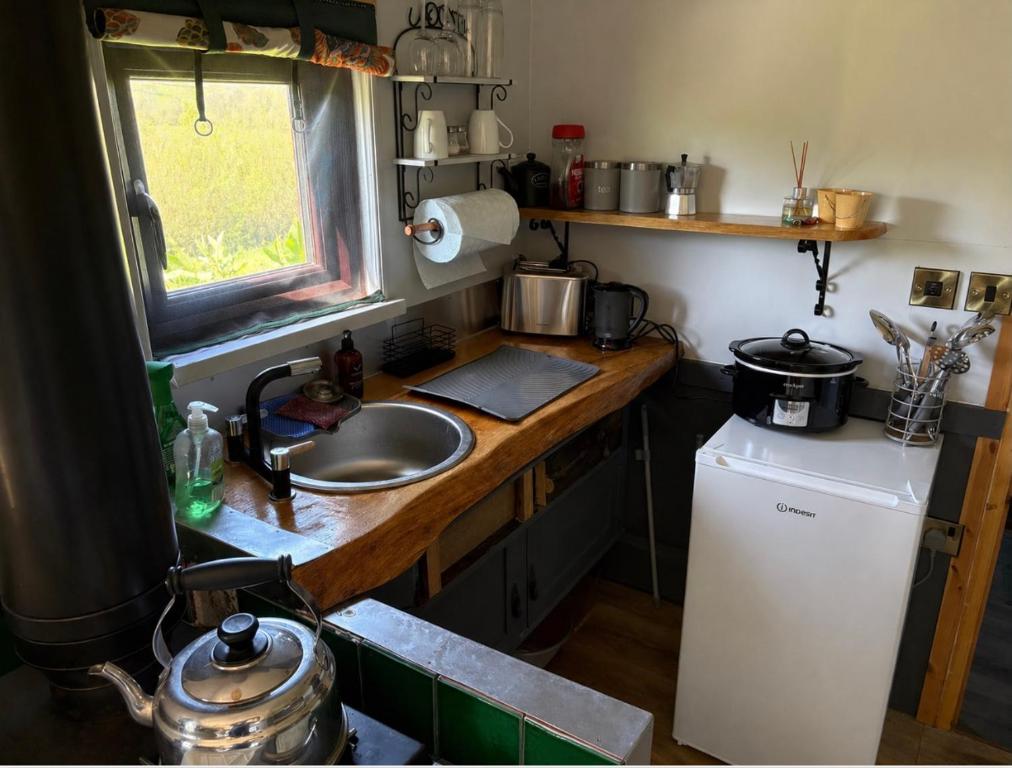 Acorn Cabin, Llangyniew photo 6