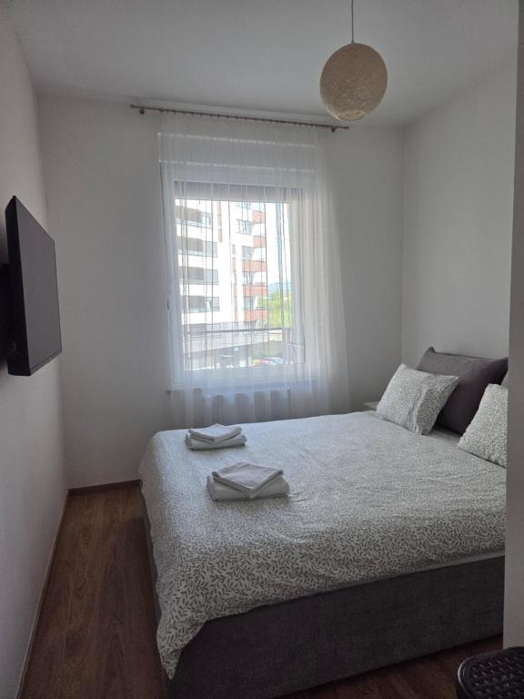 Apartman 11 - 5