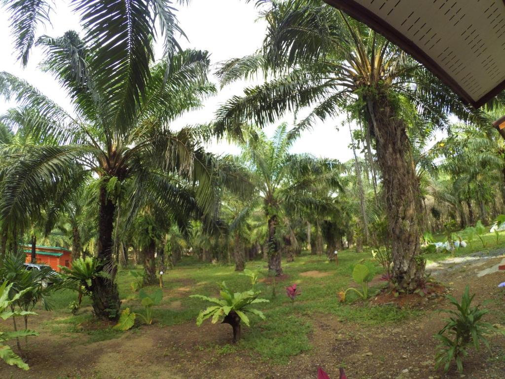 Surrounding environment