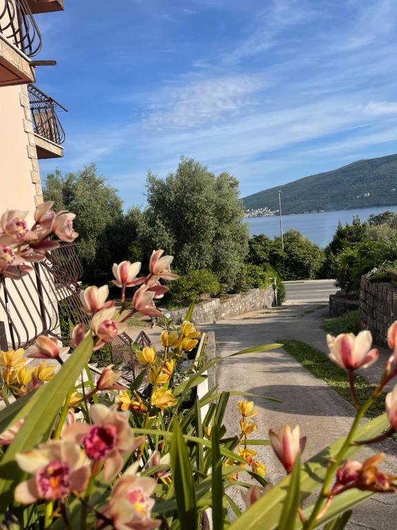 Apartments and Bungalows Mimoza Baošići - 3