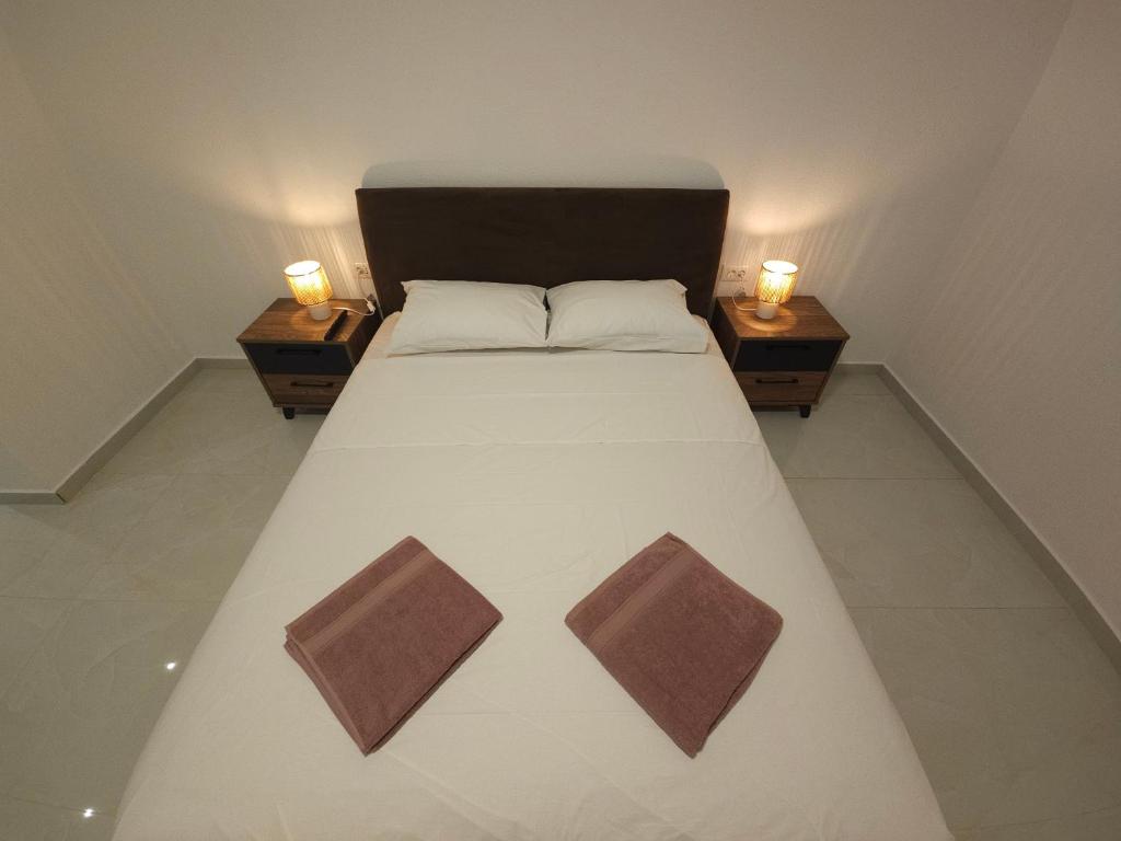 Apartment Under the Palm Tree II - 2