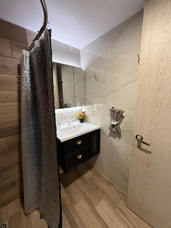 apartment in downtown Mexico City - 3