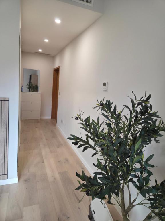 Verona Suite - 5