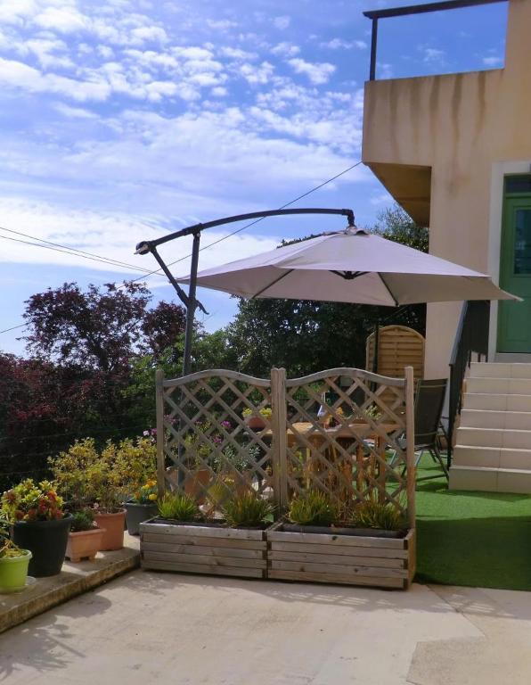 Le magnolia - 4
