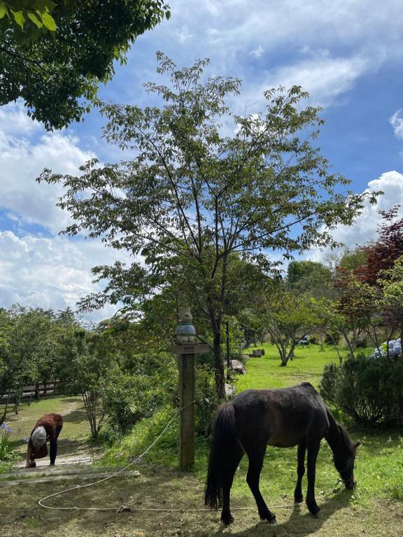 日初雲來渡假莊園