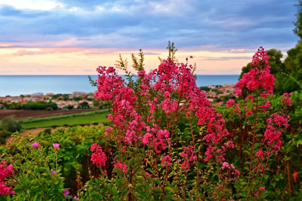 BILO BELVEDERE SX - Bilocale con giardino, wifi e vista mare - 2
