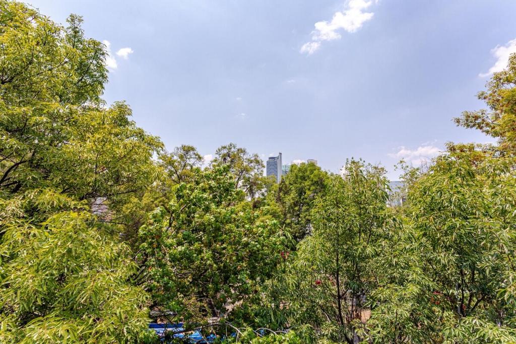 Cozy Apartment in Trendy Condesa - 4