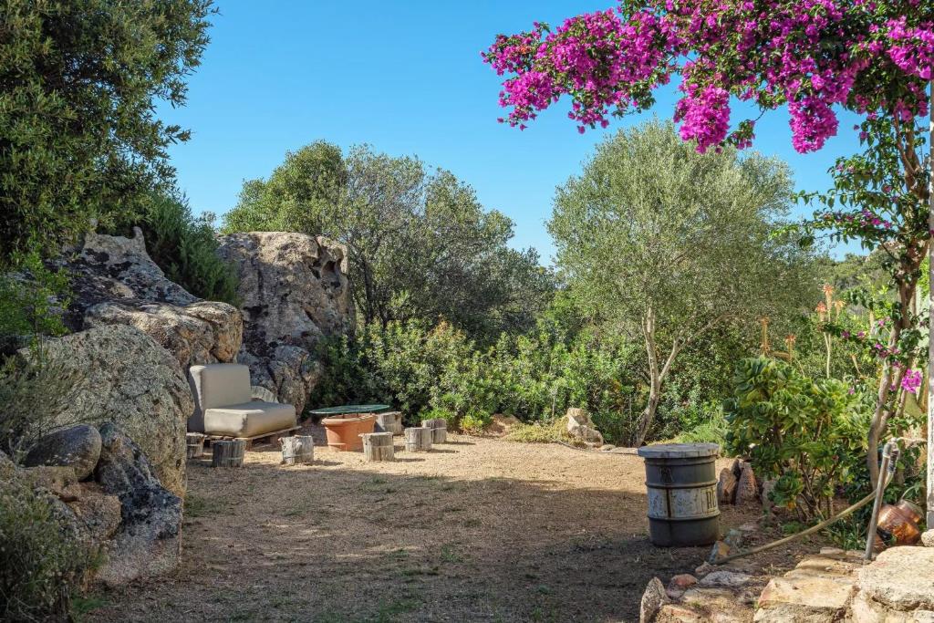 Sogno Suite - 2