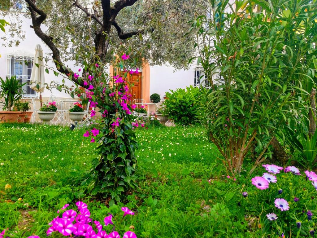 B&B Villa Lula Lucca - 2