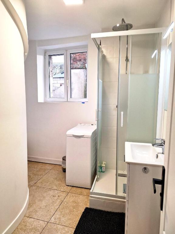 Le 129 - 6 personnes - central - quartier piétons historique d'Orléans - tout à pied - 3