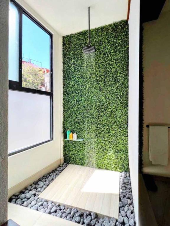 Luxury Studio 203 in Zona Romantica - 2