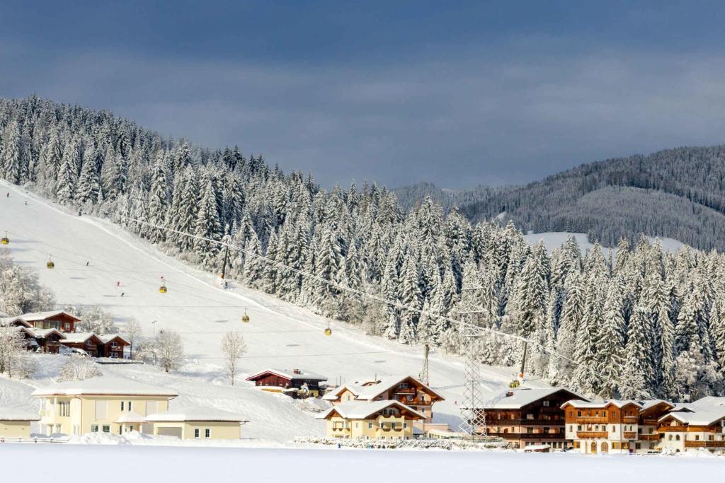 Apartments in Flachau - Salzburger Land 35292 - 3