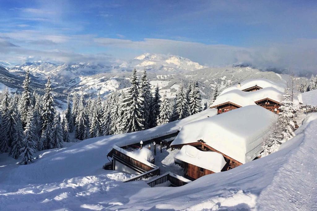 Apartments in Flachau - Salzburger Land 35292 - 5