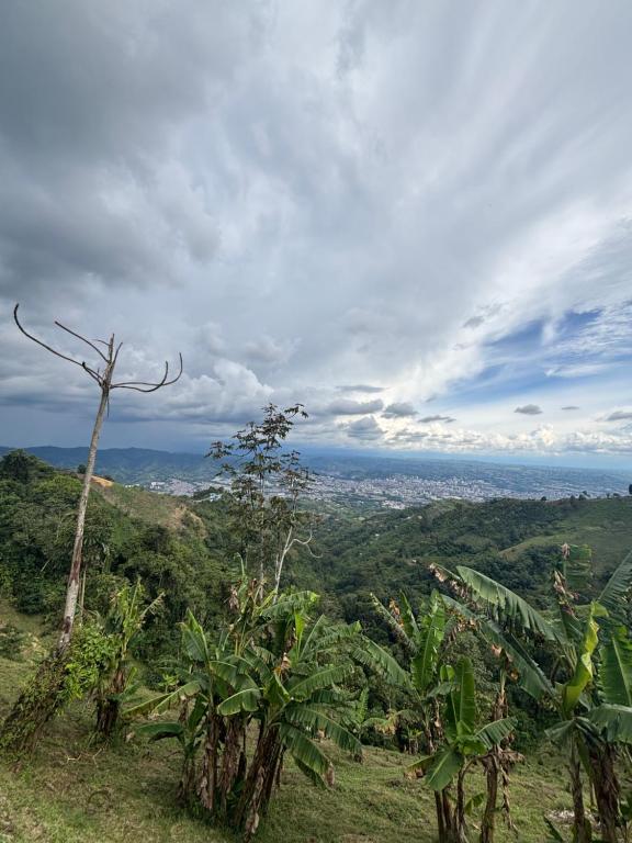 Casa Alta Colombia, ecolodge con vistas, Pereira - 2