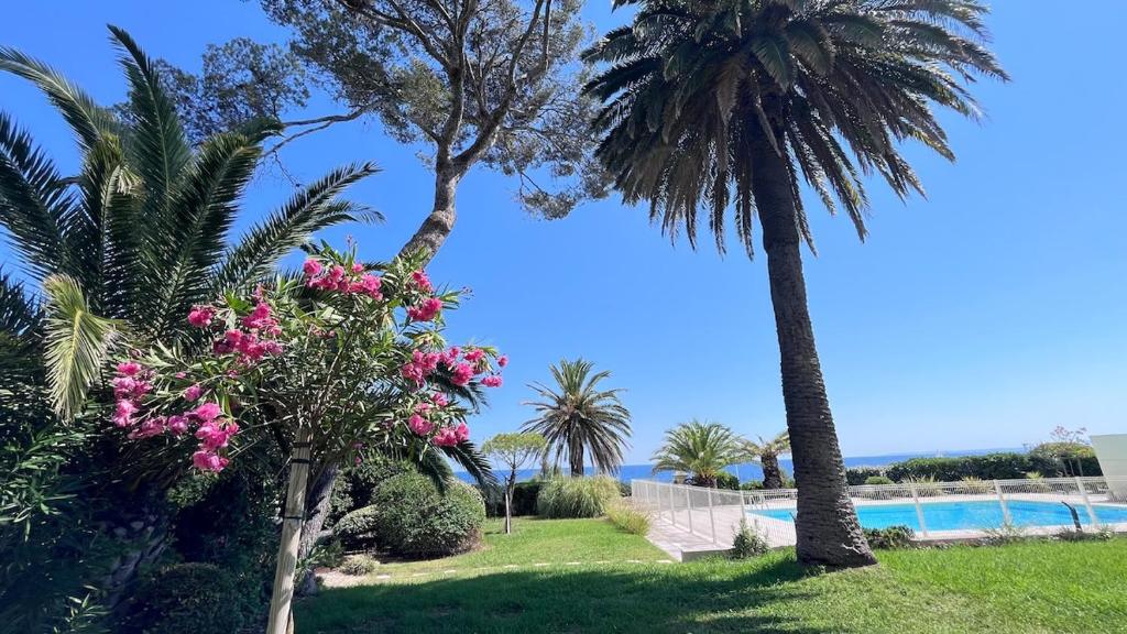 Un coin de paradis au pied de la Grande Bleue - 2