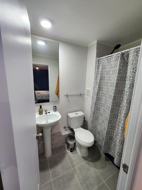 Hermoso Departamento a minutos de Licanray y Pucon - 5