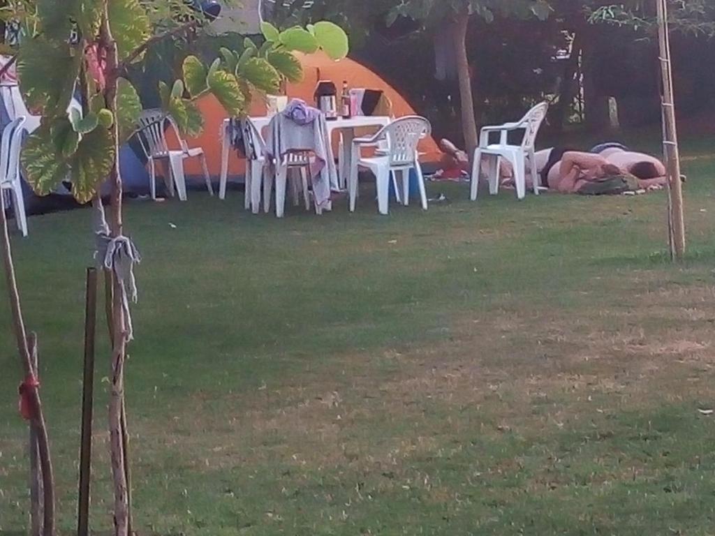 Camping Sam - 3